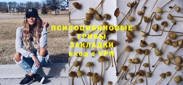 ПСИЛОЦИБИНОВЫЕ ГРИБЫ Арсеньев