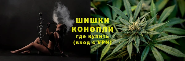 ПСИЛОЦИБИНОВЫЕ ГРИБЫ Арсеньев