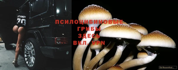 СК Белоозёрский