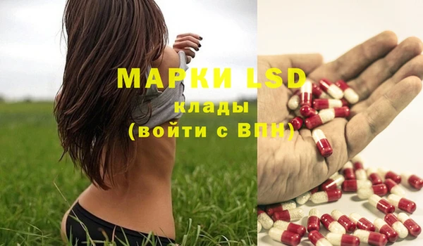 ПСИЛОЦИБИНОВЫЕ ГРИБЫ Арсеньев